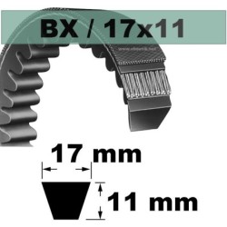 BX101