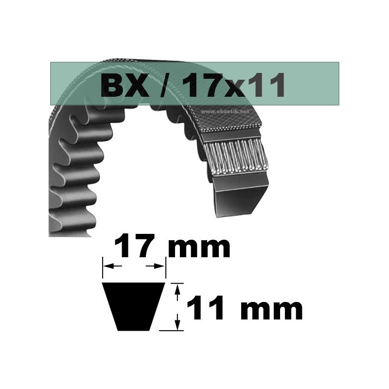 BX101 BX101