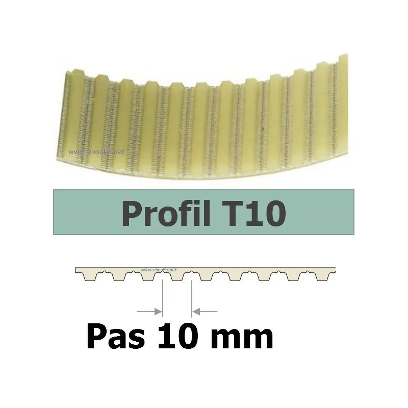 COURROIE CRANTEE 400T10/50 mm