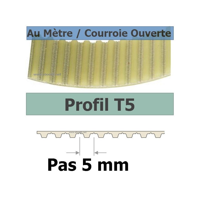 T5x15 mm Acier