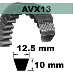 AVX13x1200