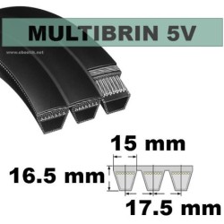 5V800x2 Brins