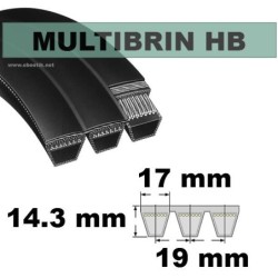 HB55x7 Brins