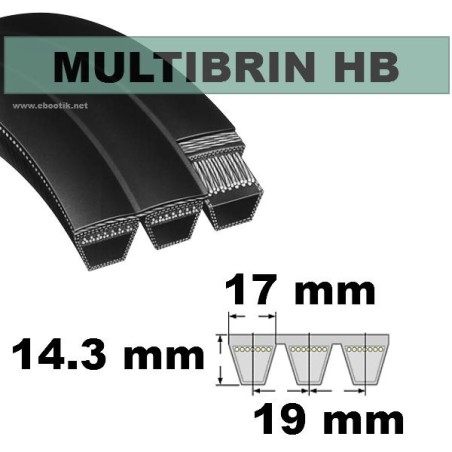 HB167x7 Brins