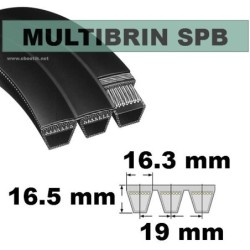 SPB2000x6 Brins