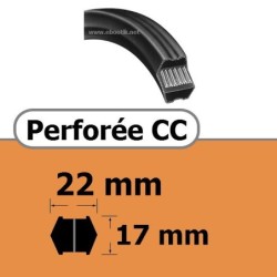 PERFOREE CC 22 x 14 mm