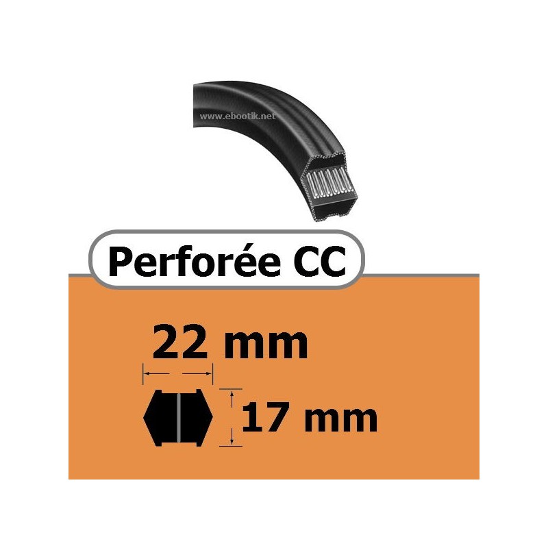 PERFOREE CC 22 x 14 mm