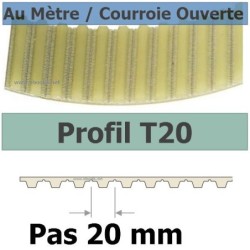 T20-25