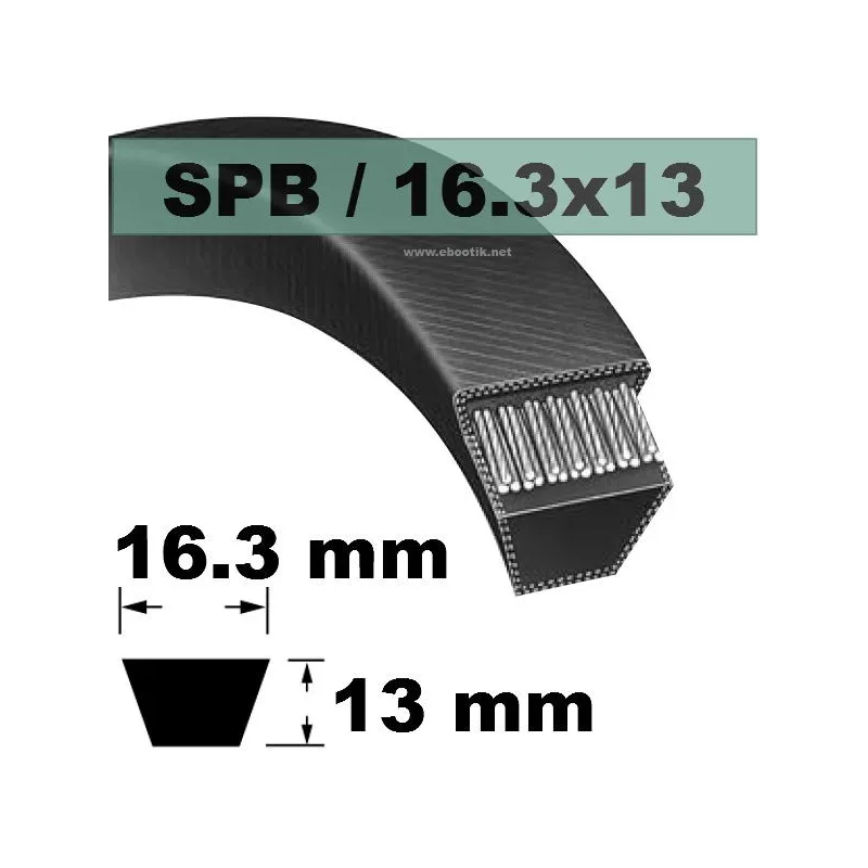 SPB5600
